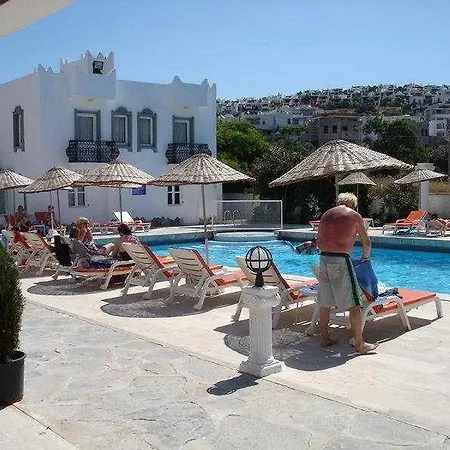 Kassandra 2* ビテツ