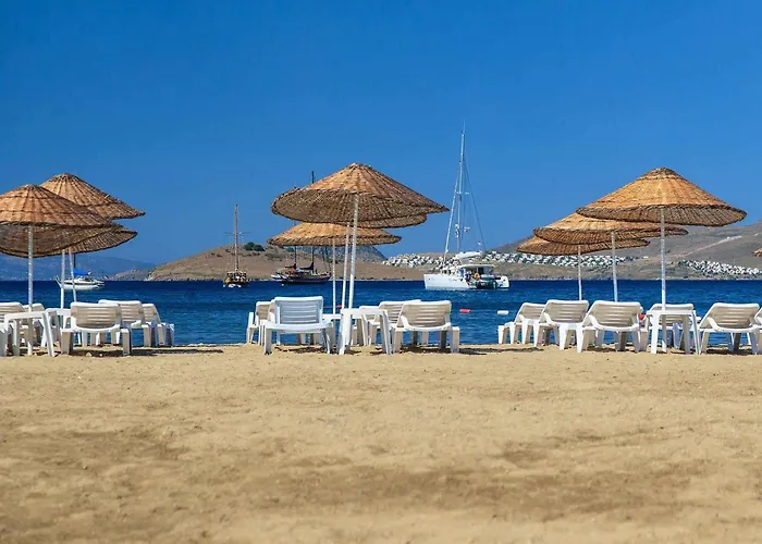 Отель Kassandra