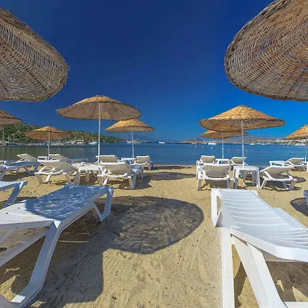 Hotel Kassandra 2*
